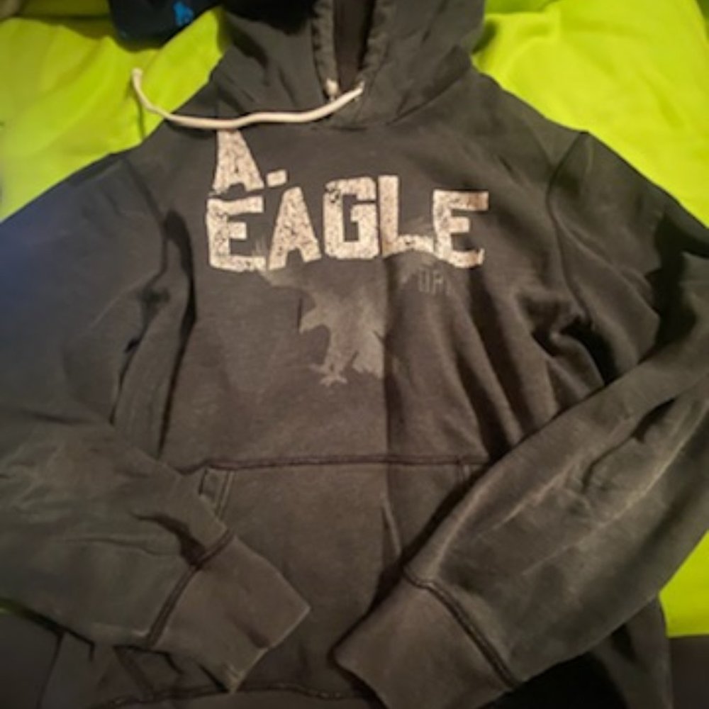 mens A&E hoodie